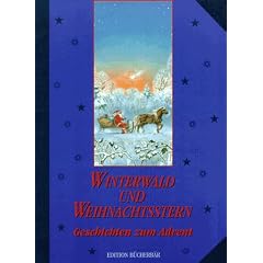 Winterwald und Weihnachtsstern