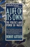 A Life of its Own: The Politics and Power of Water