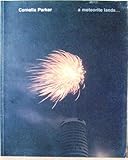 Cornelia Parker : a meteorite lands ...