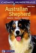Australian Shepherd
