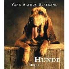 Hunde