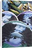 Canvas Prints of Hand-painted umbrellas from Robert Harding