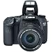 My Canon 7d Essential List