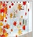 GardenHome Shower Curtain with Hooks, 13 Piece