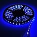 Blue 5M Waterproof 300 LED 3528 SMD Flexible LED Light Lamp Strip 12V Blue 5M Waterproof 300 LED 3528 SMD Flexible LED Light Lamp Strip 12V