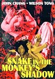Snake in Monkey`s Shadow