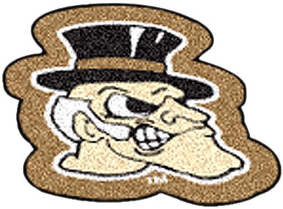 Fanmats Collegiate Mascot Mat