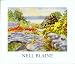 Search : Nell Blaine Watercolors