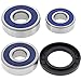 All Balls 25-1247 Rear Wheel Bearing Kit
