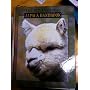 The International Alpaca Handbook 