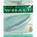 Big Blue Whale