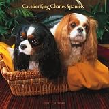 Cavalier King Charles Spaniels 2007 Calendar