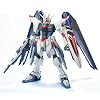 MG 1/100 フリーダムガンダム