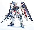 MG 1/100 ZGMF-X10A �ե꡼���६����� (��ư��Υ������SEED)