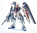Gundam Master Grade Freedom Gundam Model Kit
