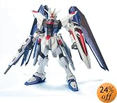MG 1/100 フリーダムガンダム