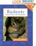 Rodents (Animals in Order)