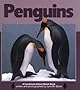 Penguins (Bird Discovery Library)