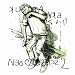 �N�{�^�^�P�VMIX CD�gNEO CLASSICS2�h