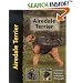 Airedale Terrier