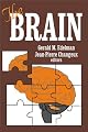 The Brain