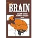 The Brain