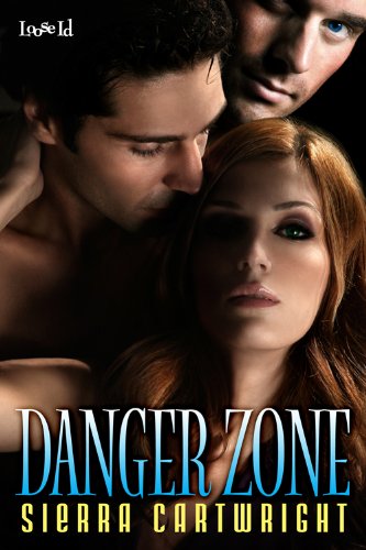Danger Zone (Hawkeye series Book 1)