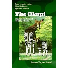 The Okapi: Mysterious Animal of Congo-Zaire