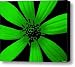 Gorgeous Green Canvas Print / Canvas Art - Artist Ed Smith