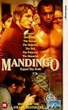 Review 4 Front Video  / Mandingo [1975]