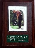 Mark O'Meara 4.5