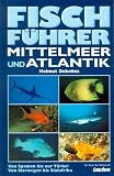 Fischf�hrer Mittelmeer und Atlantik. Von Spanien bis zur T�rkei. Von Norwegen bis S�dafrika