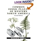 Common Fossil Plants of Western North America by  William D. Tidwell