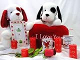 Sharing Your Romance with Your Valentine