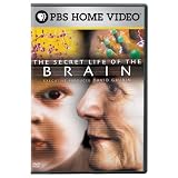 The Secret Life of the Brain