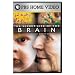The Secret Life of the Brain