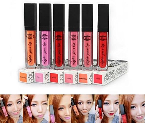PrimeKey Shining Brightly 1x Lip Gloss With LED Light And Makeup Mirror 6 Colors for Your Choice Rose