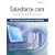 Salesforce.com Secrets of Success: Best Practices for Growth and Profitability