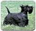 Scottish Terrier Mousepad
