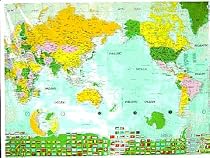 World Map Shower Curtain