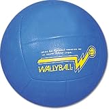 Official Wallyball; Ball - Volleyball
