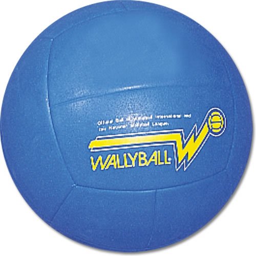 BSN Official Wallyball Ball