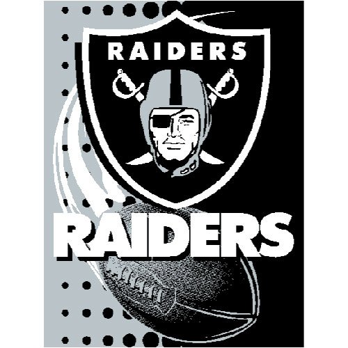 Oakland Raiders NFL Royal Plush Raschel Blanket (Flash Series) (60x80