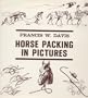 Horse Packing in Pictures