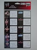 WWE - WWE-1085 - Loisir Créatif - Plaquette de 20 Etiquettes Autocollantes