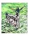 Dance on water Dance Photographic Poster Print by Sergejus S.L. Lamanosovas, 8x10