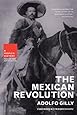 The Mexican Revolution (New Press People's History)