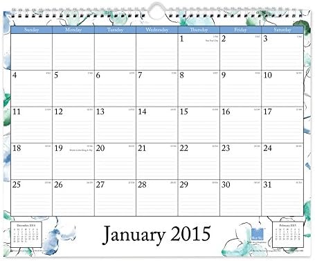 Blue Sky 2015 Lindley Monthly Wall Calendar, Wire-O Bound, 15 x 12 Inches