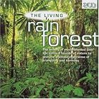 Living Rain Forest by Anton Hughes