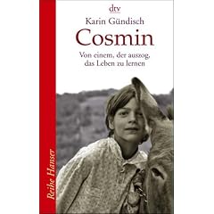 Cosmin. Von einem, der auszog, das Leben zu lernen